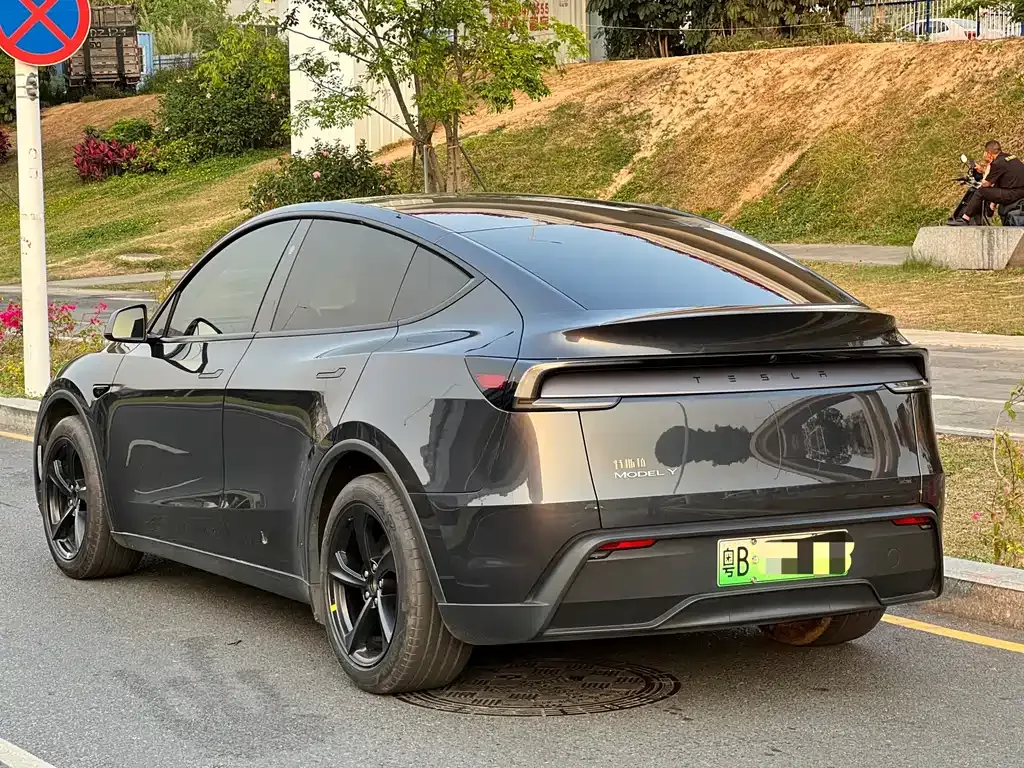 Tesla Model Y 2025 из CN, фото 5