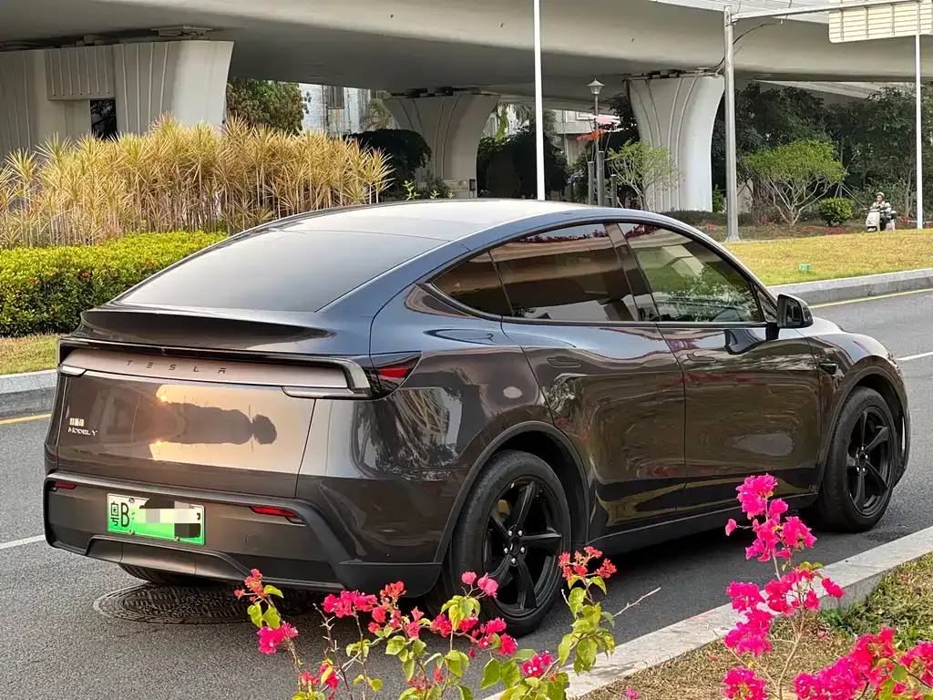 Tesla Model Y 2025 из CN, фото 9