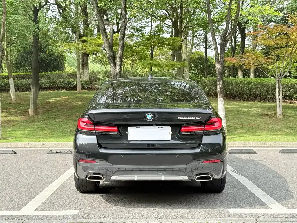 BMW 5 Series 2023 из CN, фото 10