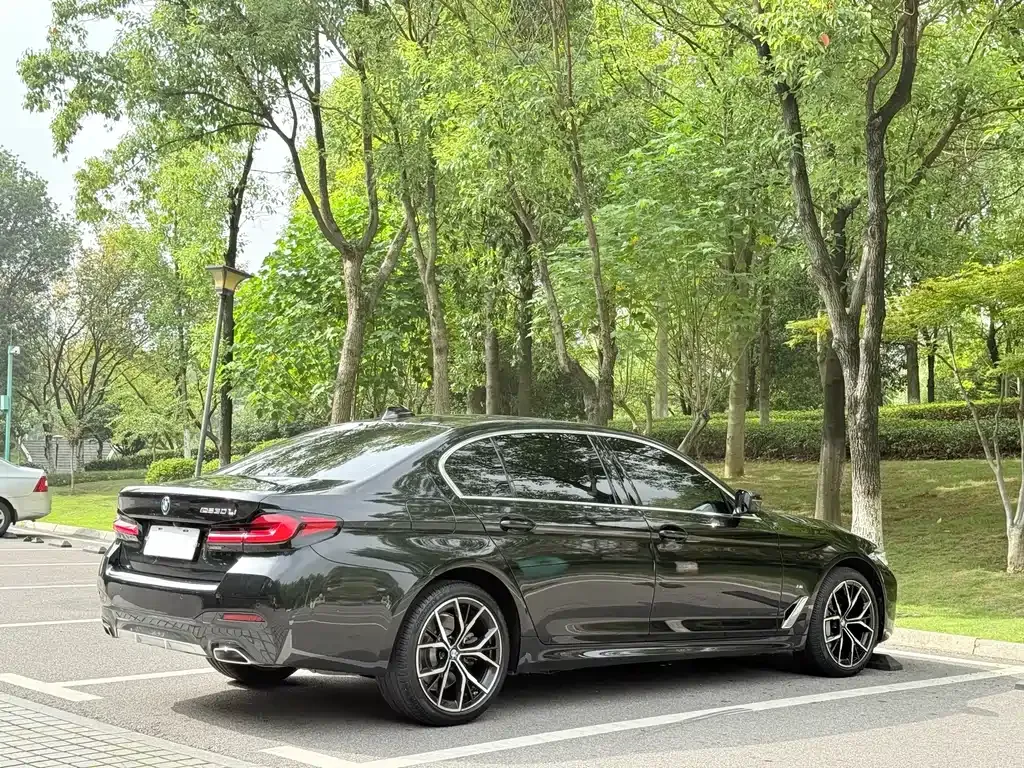 BMW 5 Series 2023 из CN, фото 8