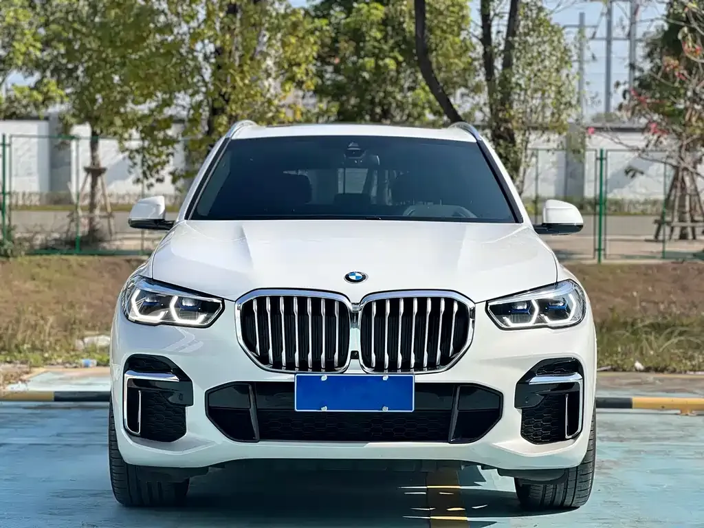 BMW X5 — фото 4