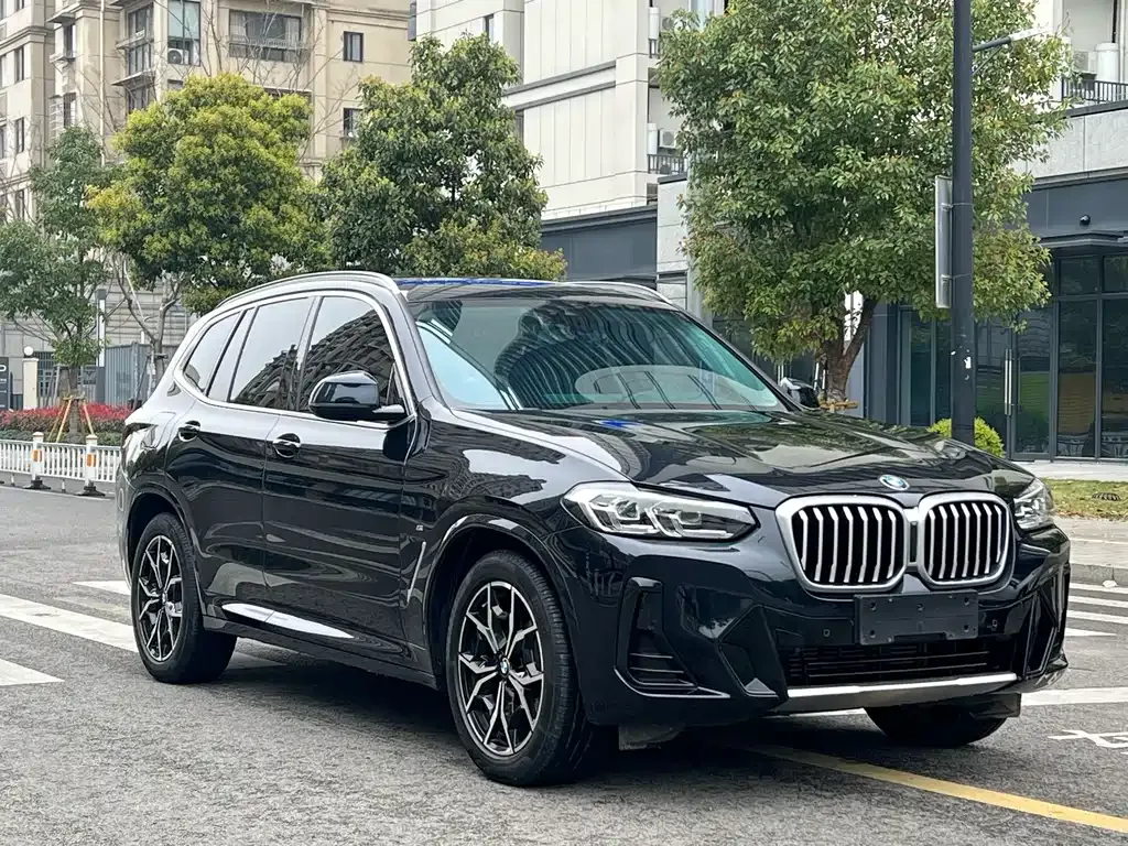 BMW X3 2022 из CN, фото 6