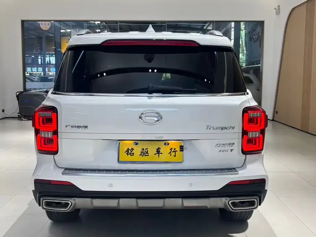 GAC Motor Trumpchi GS8 2021 из CN, фото 4