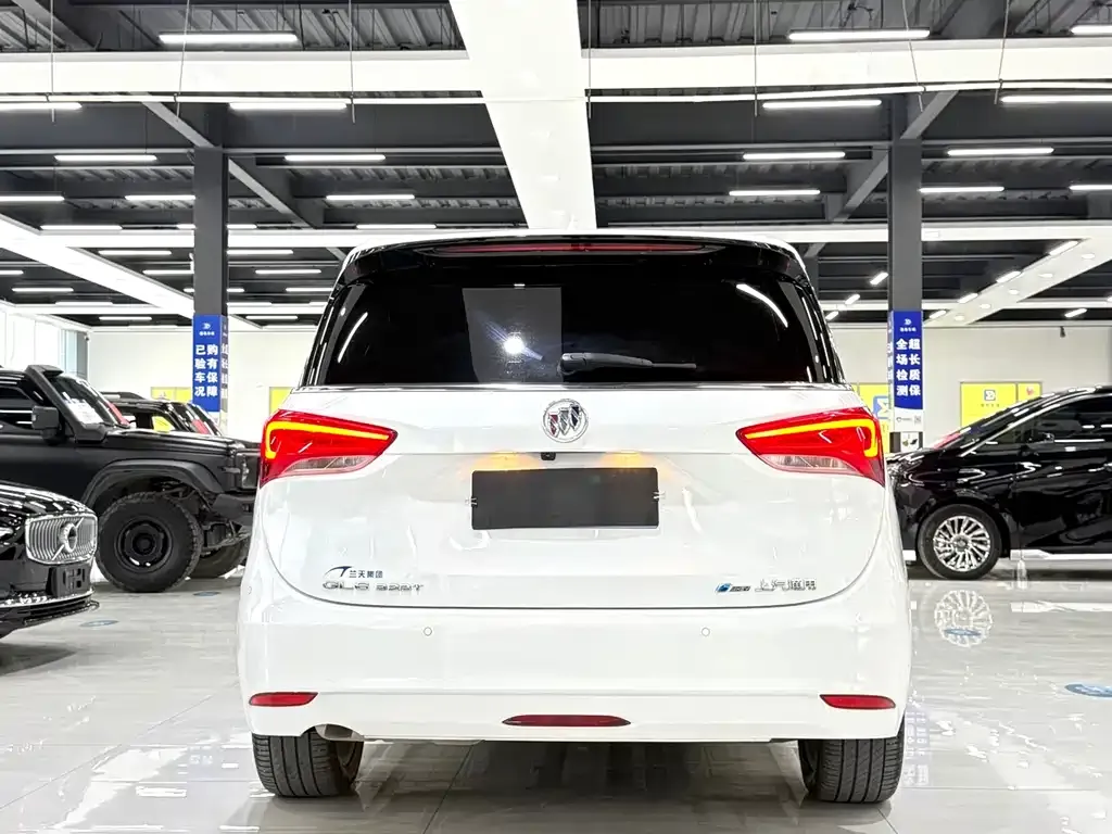 Buick GL6 2023 из CN, фото 8