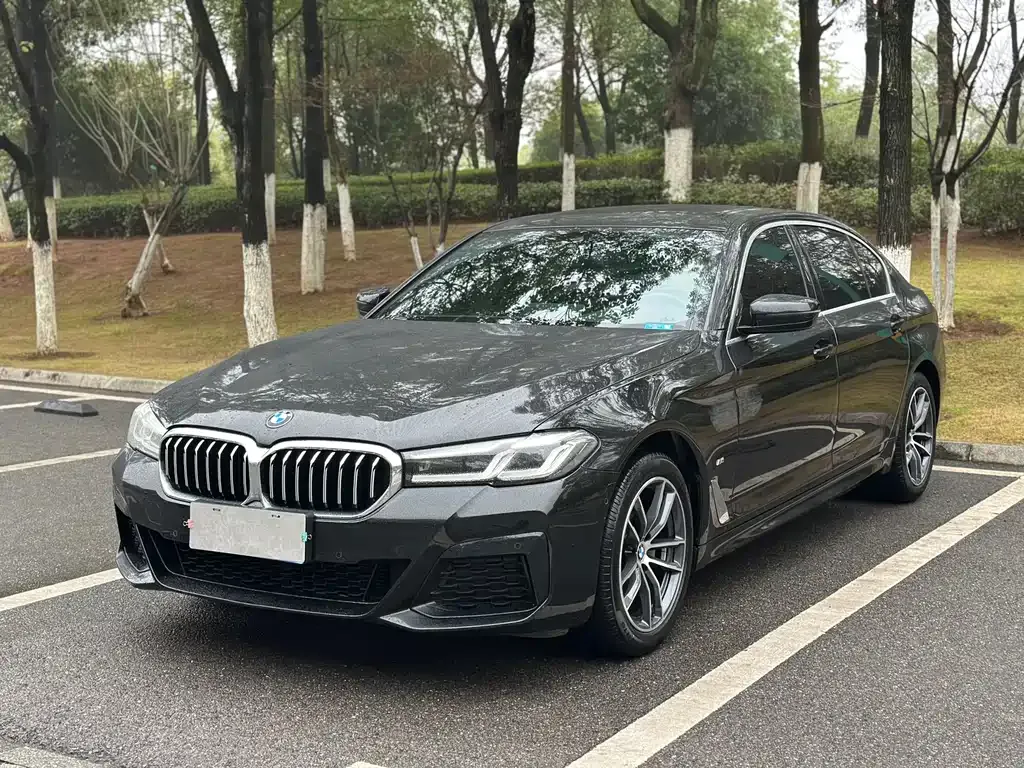 BMW 5 Series — фото 1