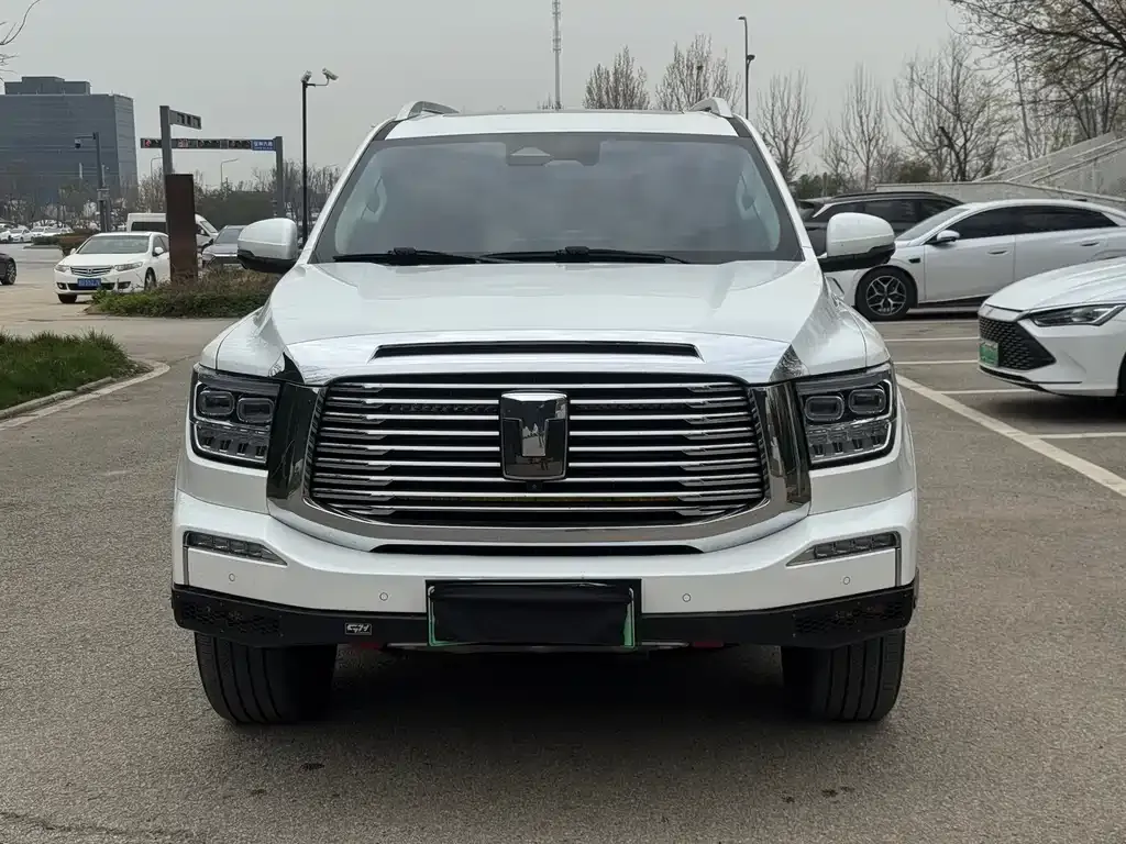 Tank 500 New Energy 2023 из CN, фото 3