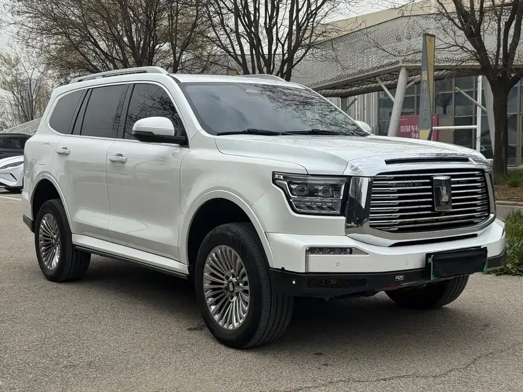 Tank 500 New Energy 2023 из CN, фото 9