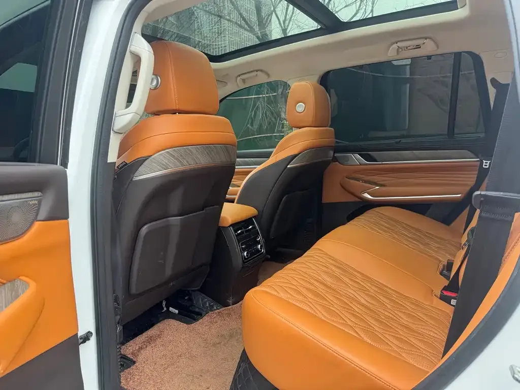 Tank 500 New Energy 2023 из CN, фото 5