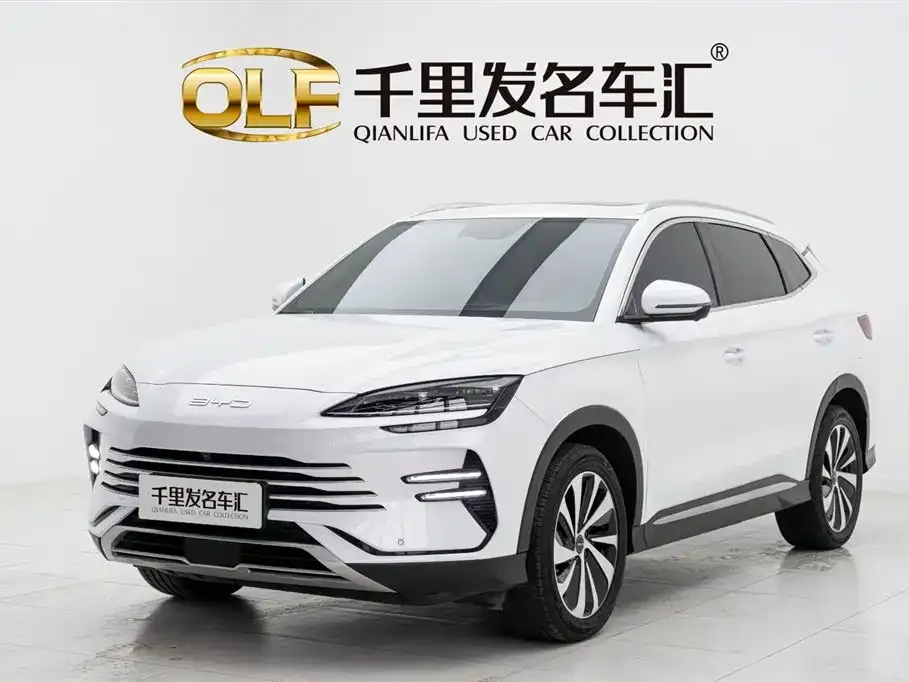 BYD PLUS New Energy — фото 1