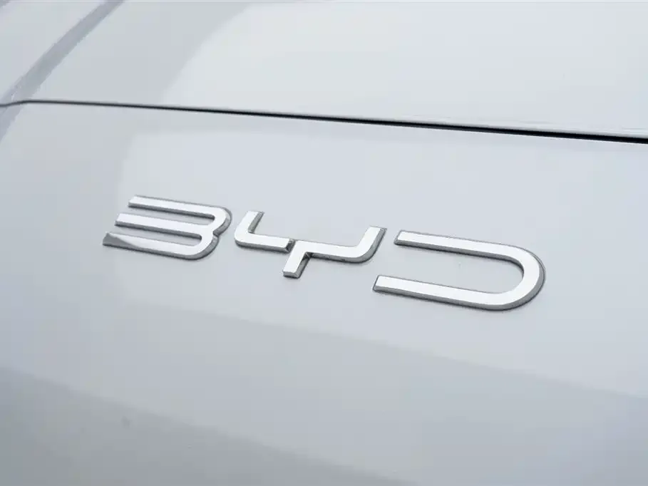BYD PLUS New Energy — фото 10
