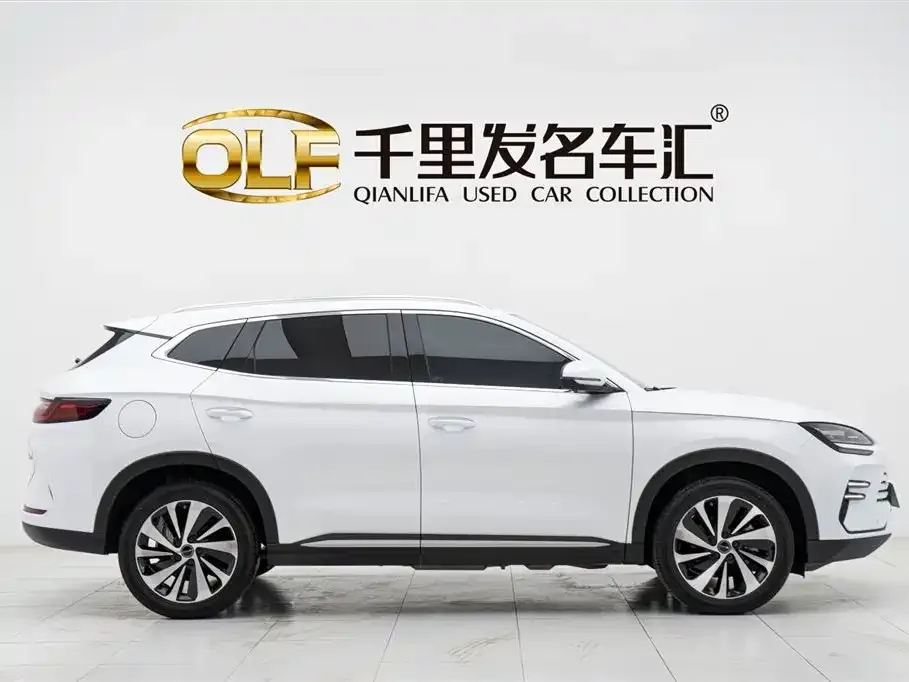 BYD PLUS New Energy — фото 9