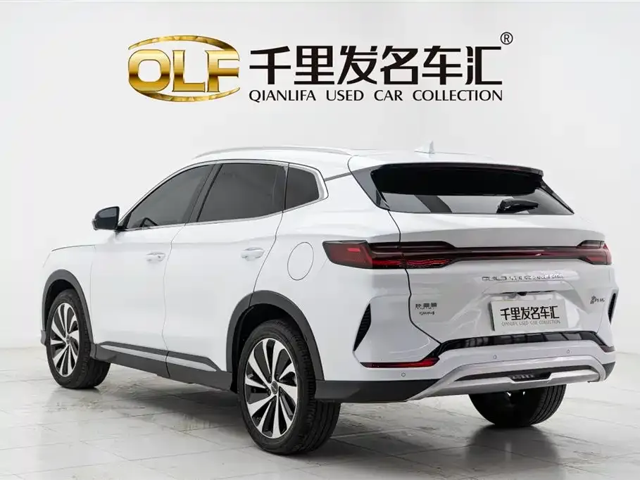 BYD PLUS New Energy — фото 4