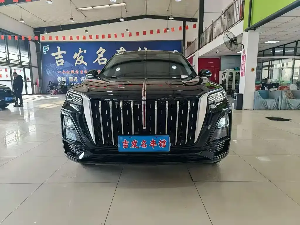 Hongqi HS5 2023 из CN, фото 10