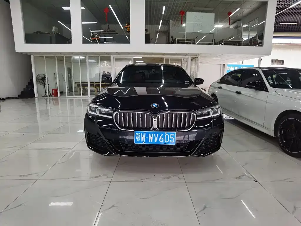 BMW 5 Series 2022 из CN, фото 7