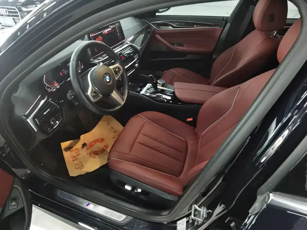 BMW 5 Series 2022 из CN, фото 8
