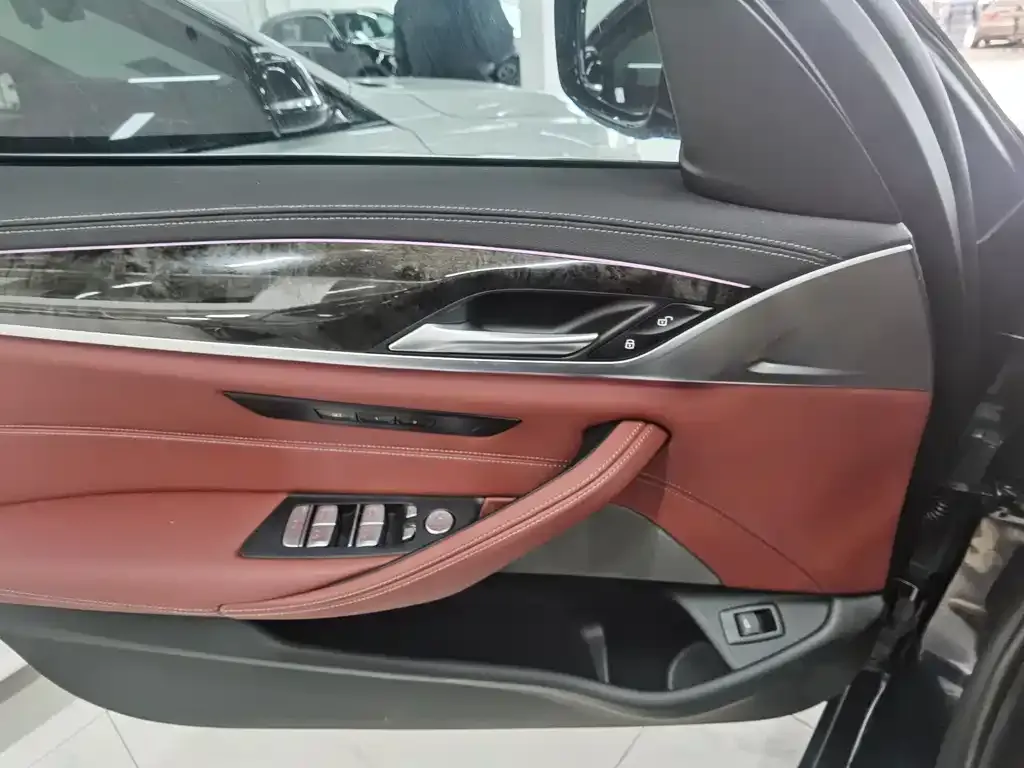 BMW 5 Series 2022 из CN, фото 6