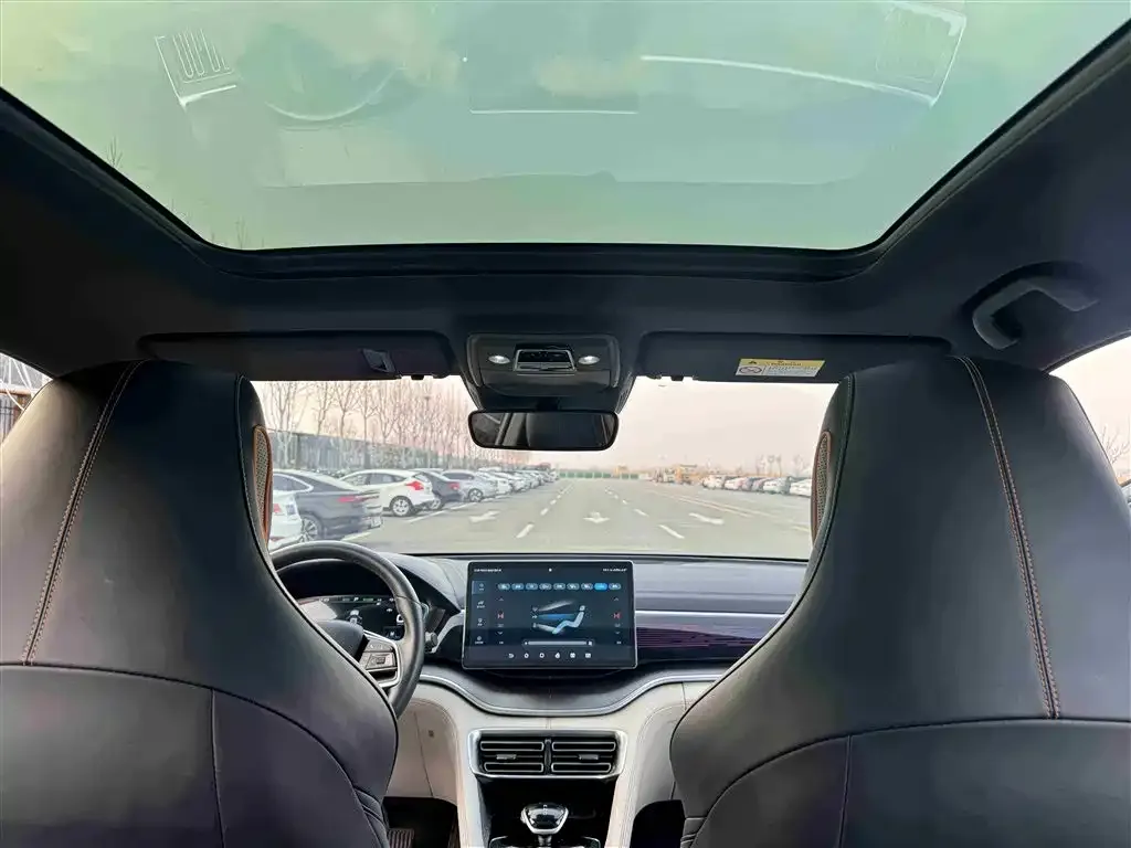 BYD PLUS New Energy 2022 из CN, фото 4