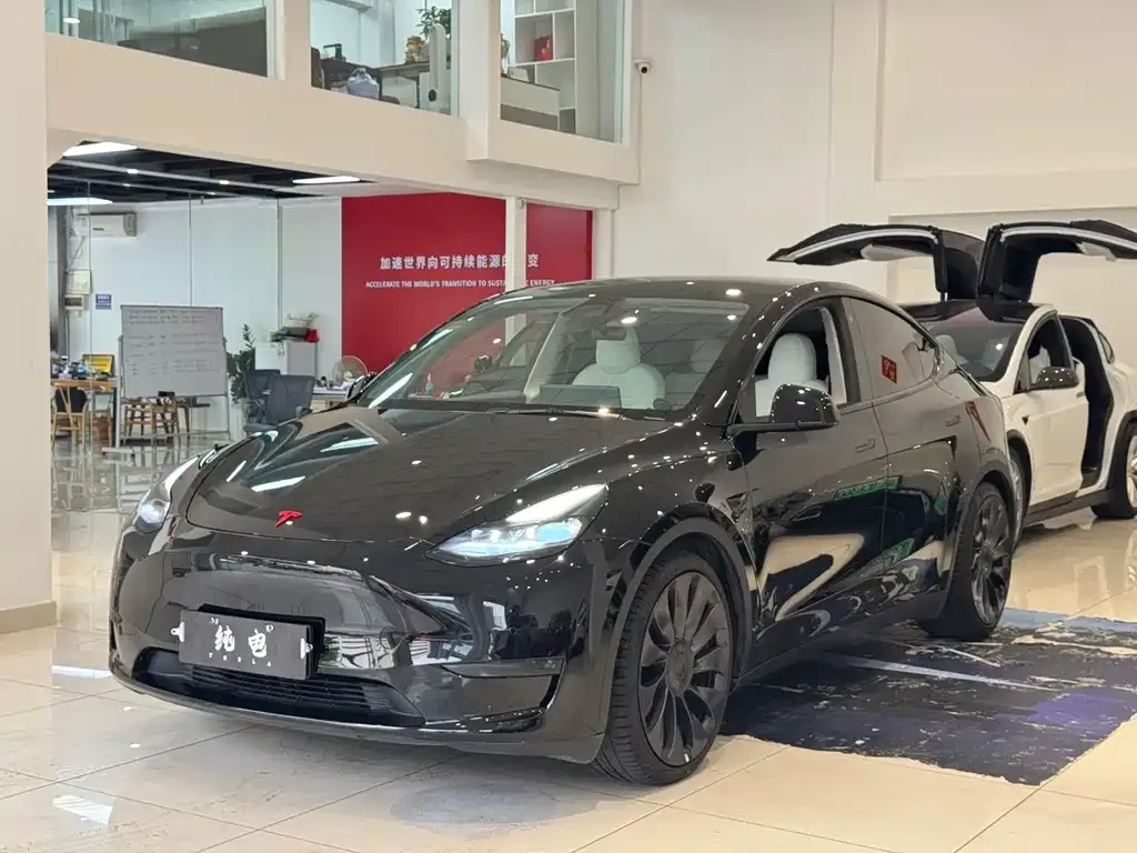 Tesla Model Y 2021 из CN, фото 1