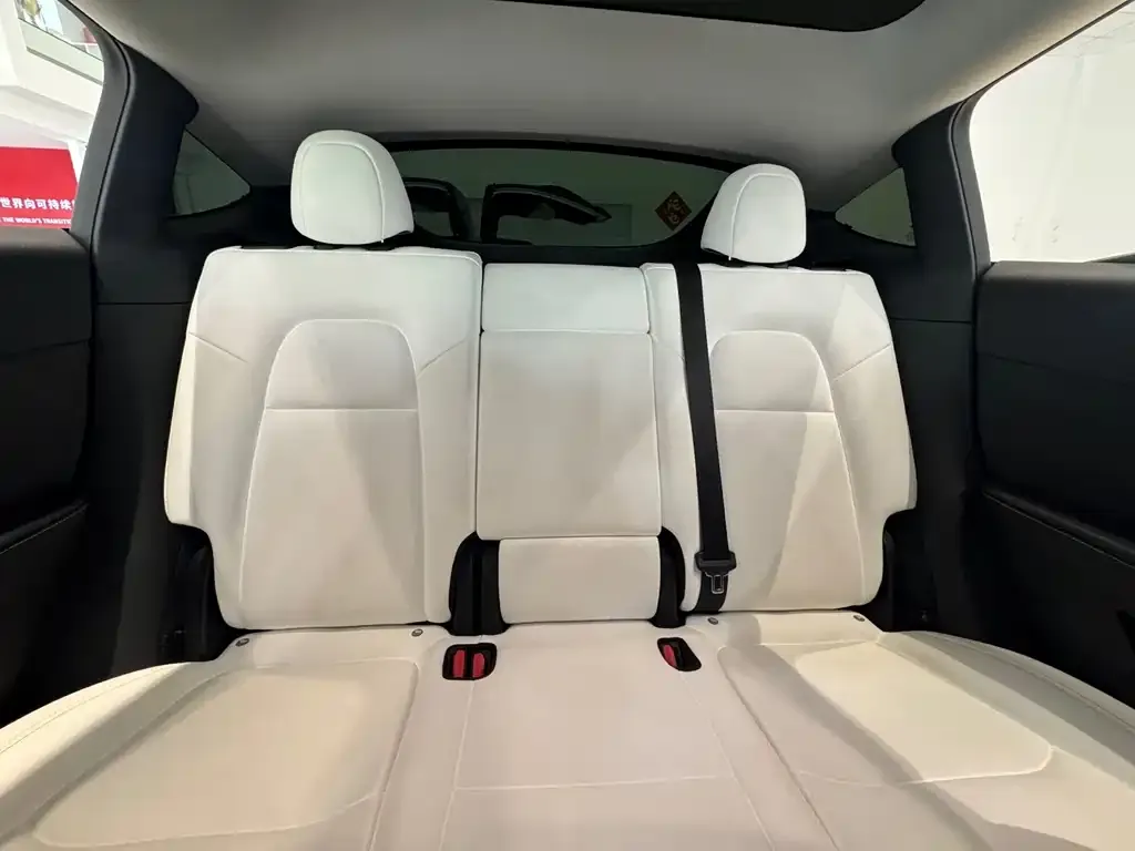Tesla Model Y 2021 из CN, фото 8