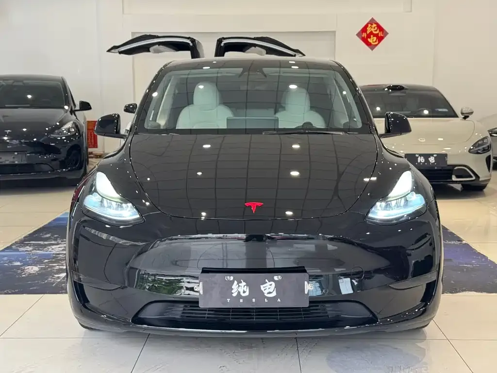 Tesla Model Y 2021 из CN, фото 10
