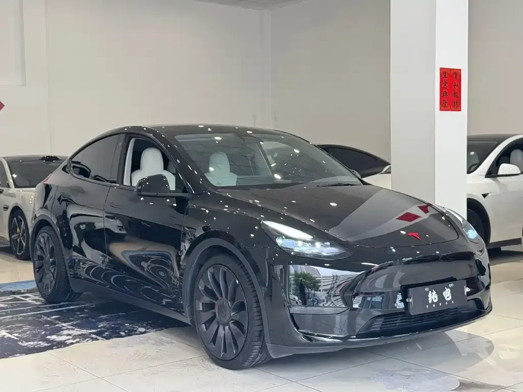 Tesla Model Y 2021 из CN, фото 3