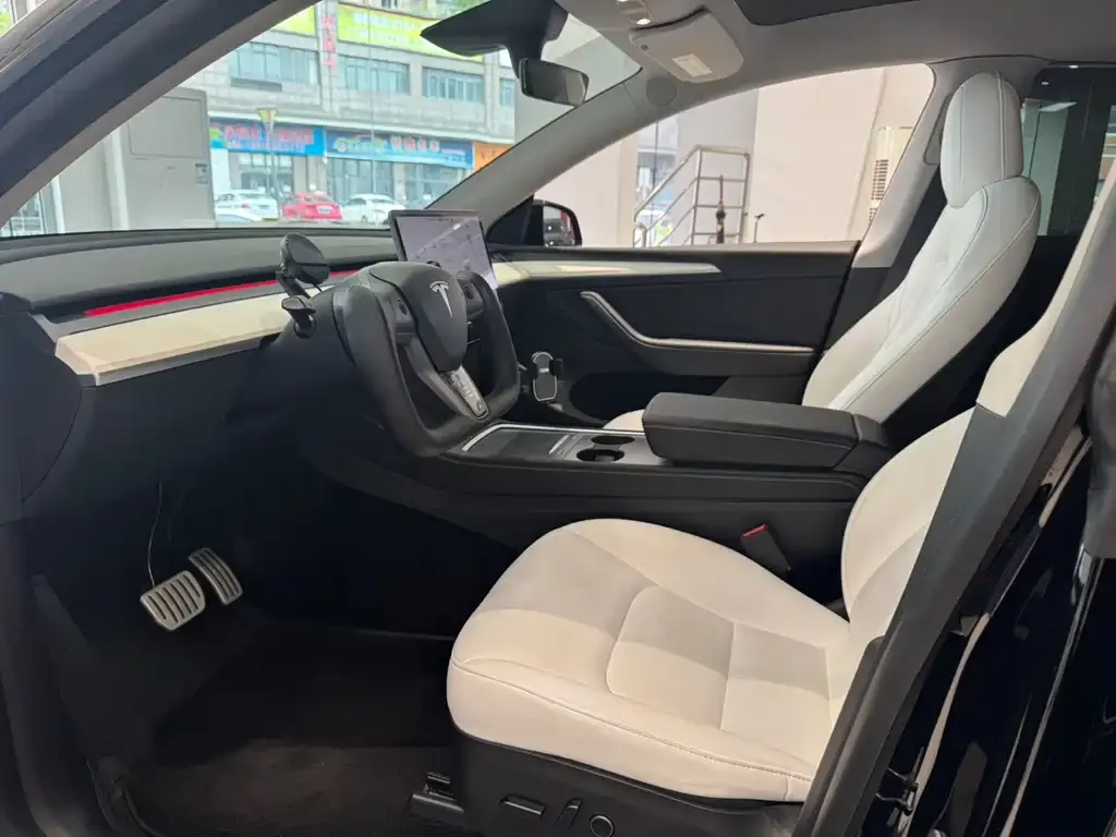Tesla Model Y 2021 из CN, фото 6