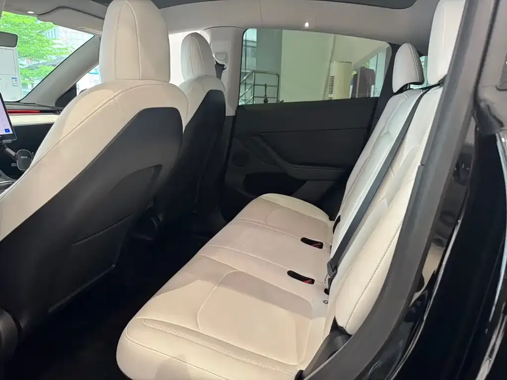 Tesla Model Y 2021 из CN, фото 4