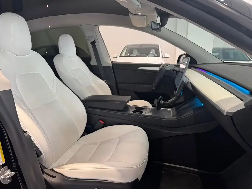 Tesla Model Y 2021 из CN, фото 2