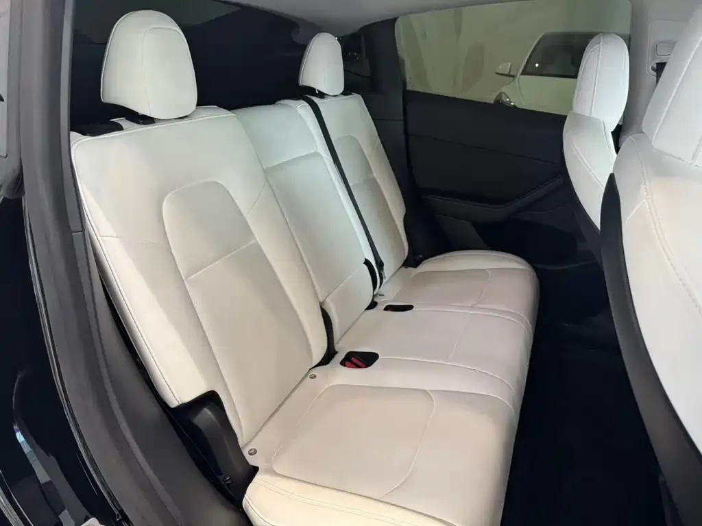 Tesla Model Y 2021 из CN, фото 5