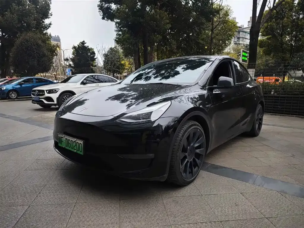 Tesla Model Y — фото 1