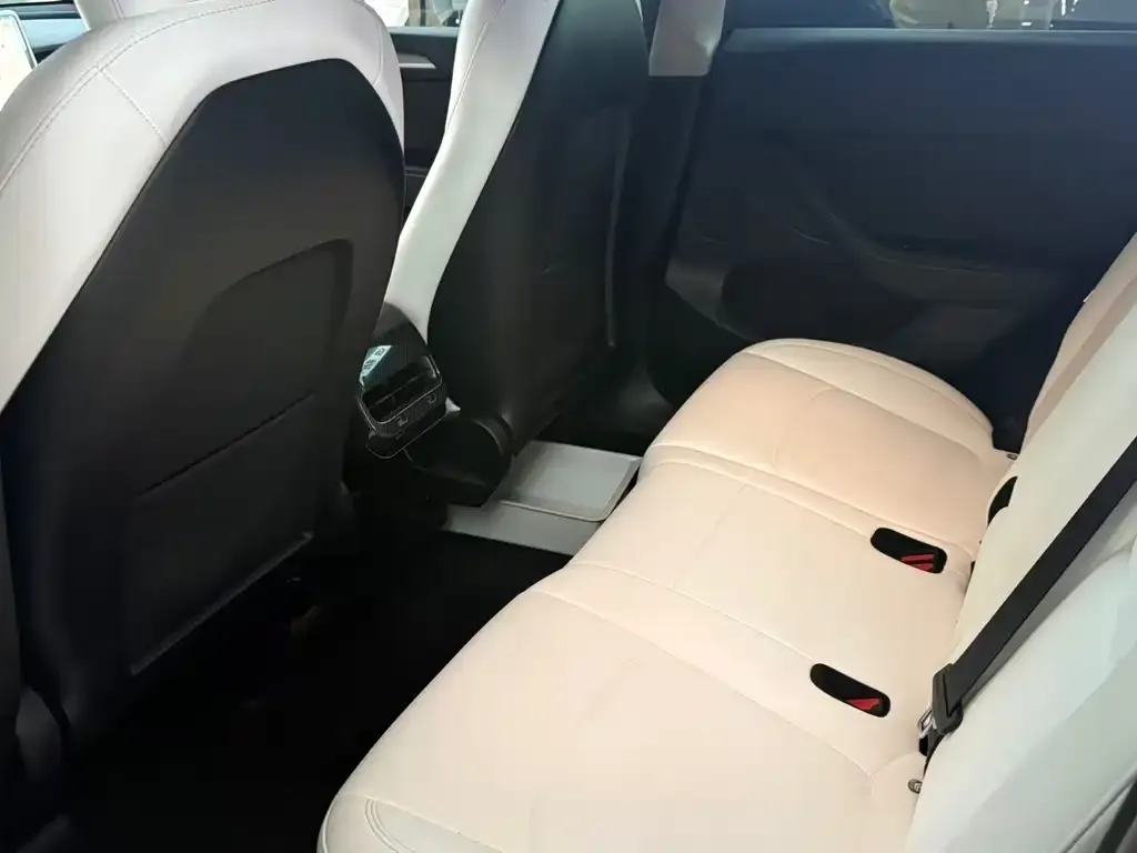 Tesla Model Y 2024 из CN, фото 4