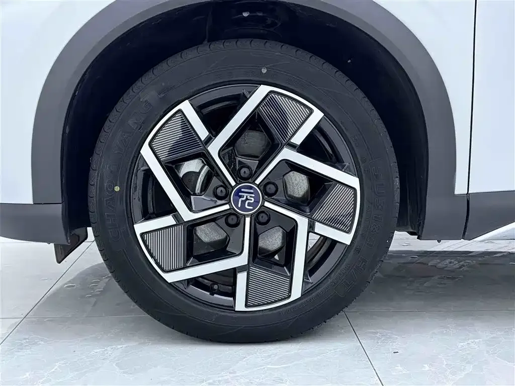 BYD Yuan Plus 2023 из CN, фото 10