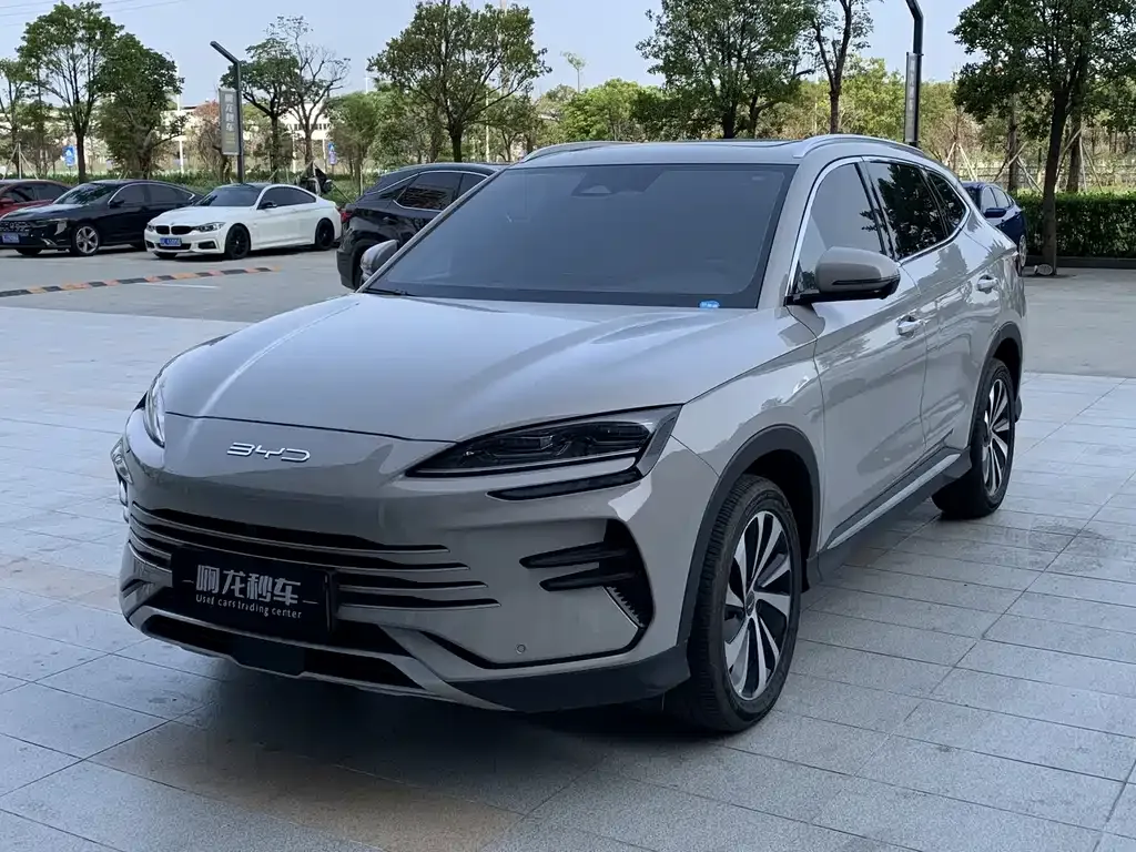 BYD PLUS New Energy 2024 из CN, фото 1