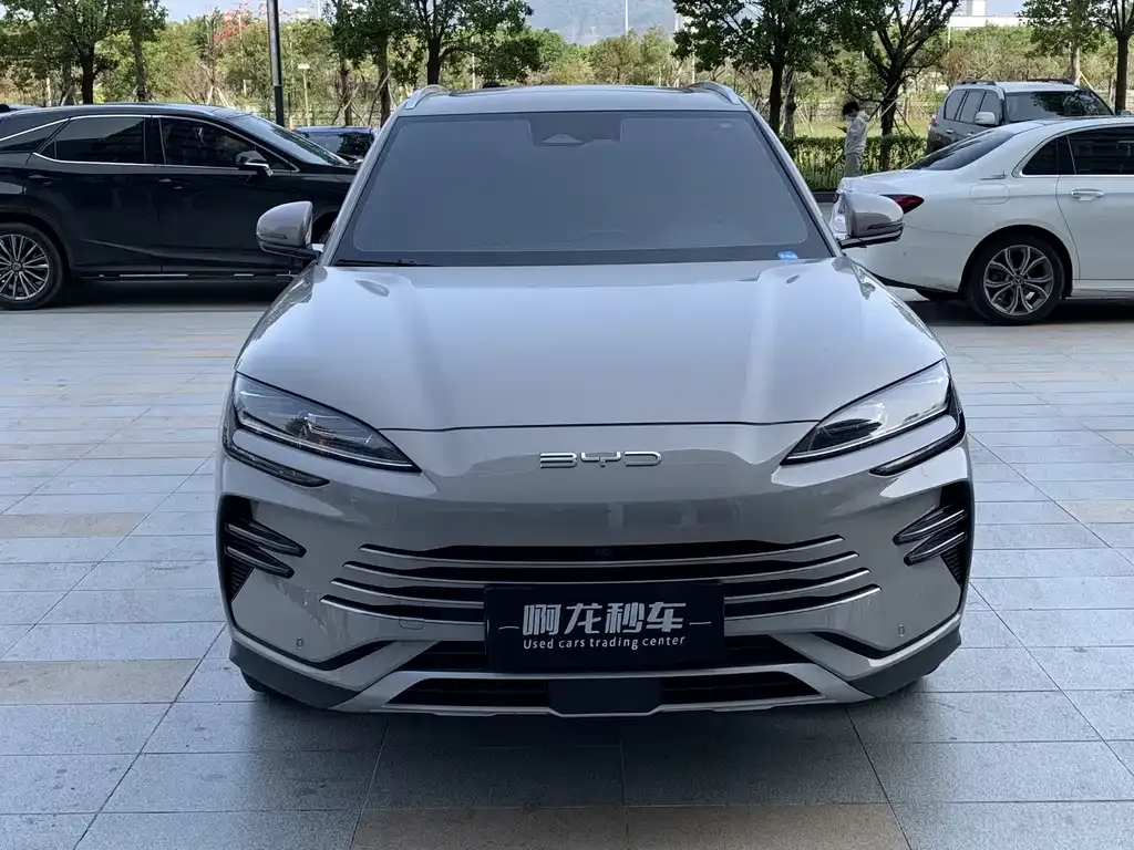 BYD PLUS New Energy 2024 из CN, фото 8