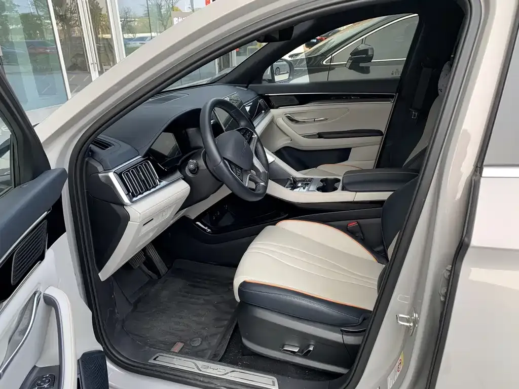 BYD PLUS New Energy 2024 из CN, фото 2