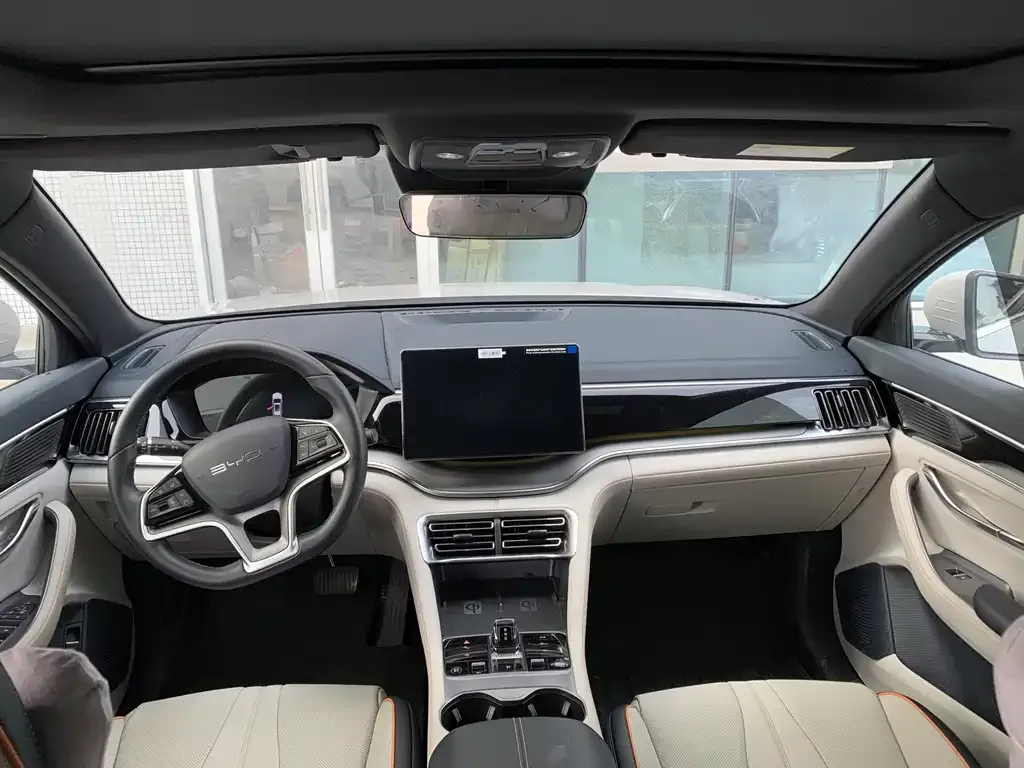 BYD PLUS New Energy 2024 из CN, фото 5