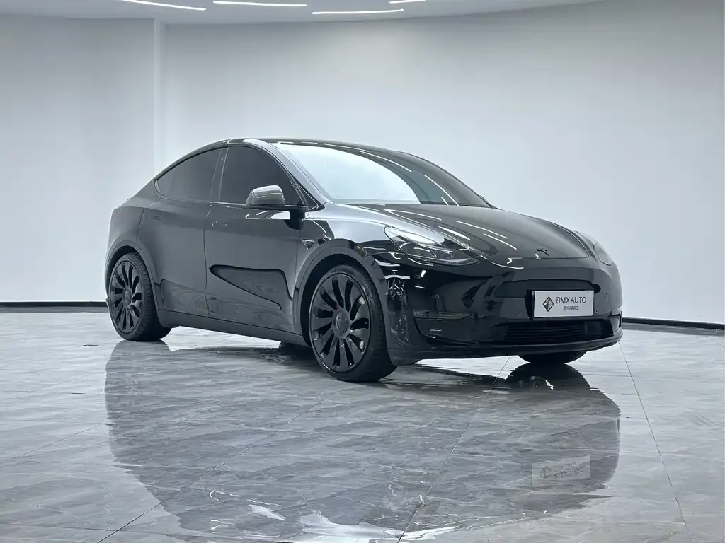 Tesla Model Y — фото 6