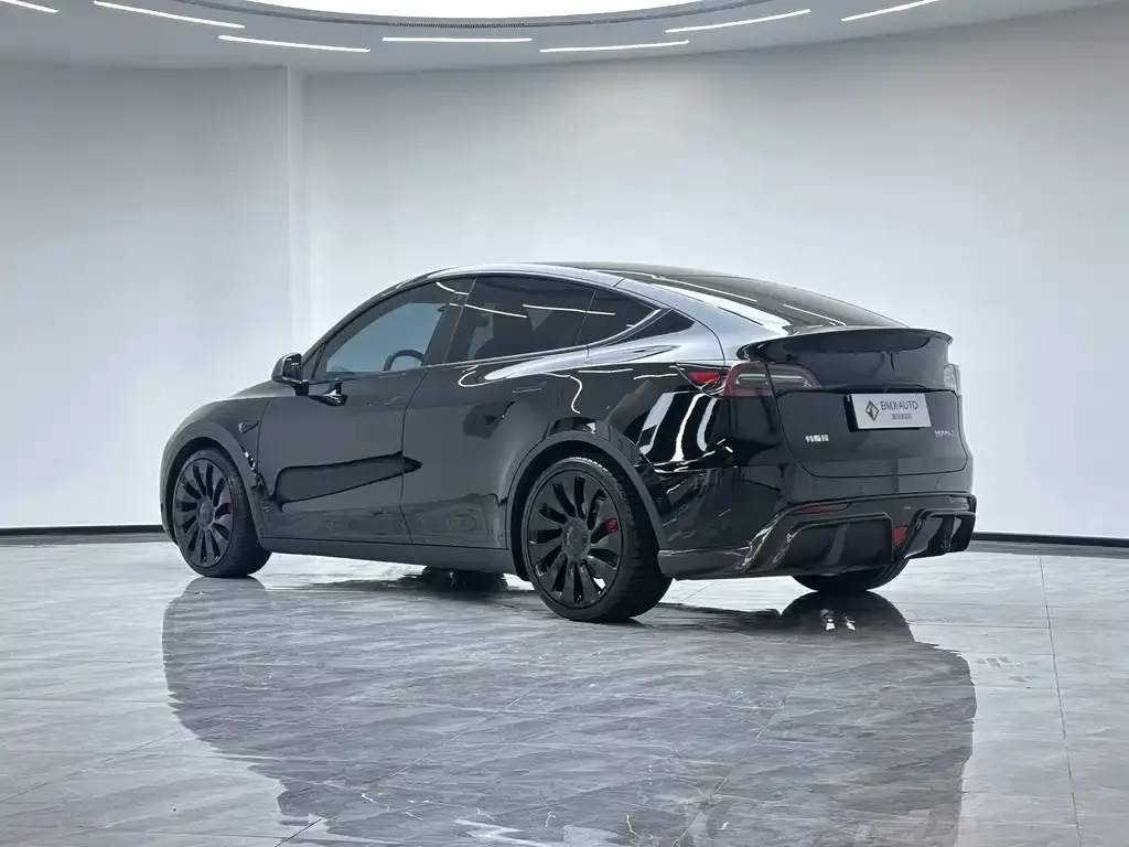 Tesla Model Y — фото 8
