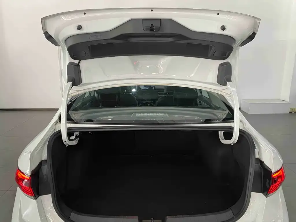 Volkswagen Sagitar 2024 из CN, фото 3