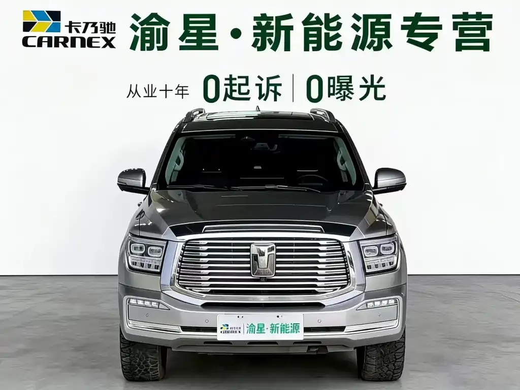 Tank 500 New Energy 2023 из CN, фото 10