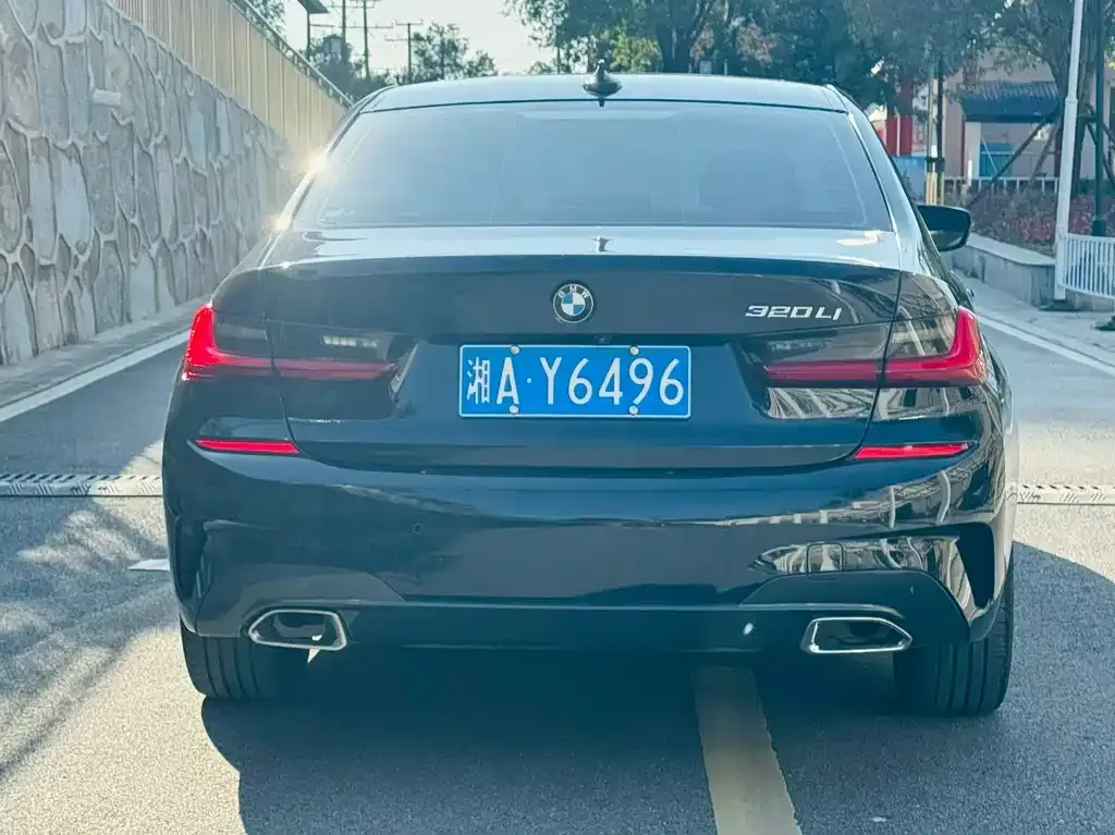 BMW 3 Series 2022 из CN, фото 9