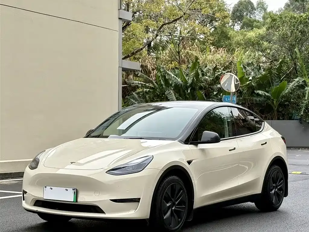 Tesla Model Y 2024 из CN, фото 1