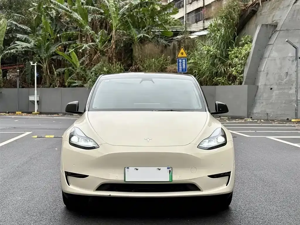Tesla Model Y 2024 из CN, фото 6