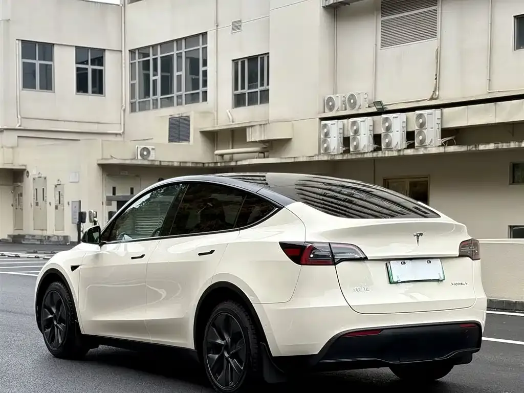 Tesla Model Y 2024 из CN, фото 3