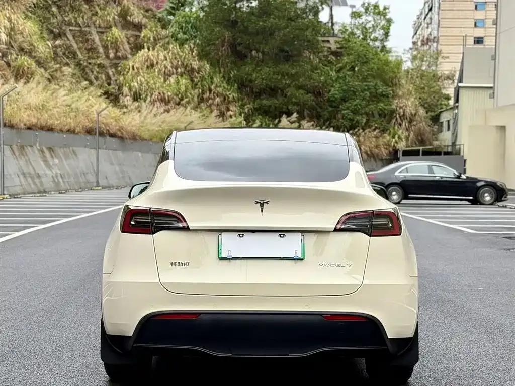 Tesla Model Y 2024 из CN, фото 5