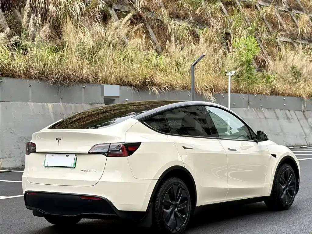 Tesla Model Y 2024 из CN, фото 9