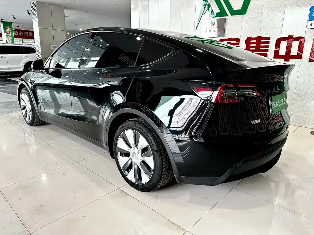Tesla Model Y — фото 10