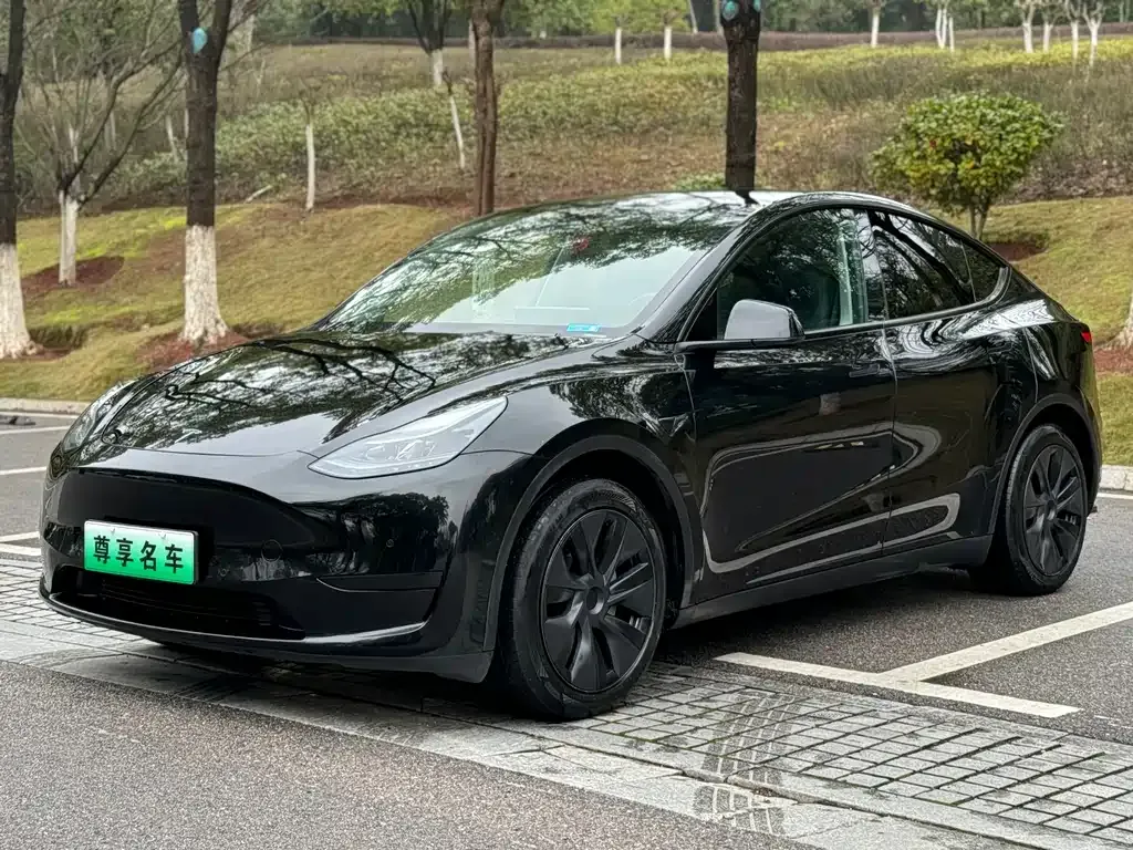 Tesla Model Y — фото 1