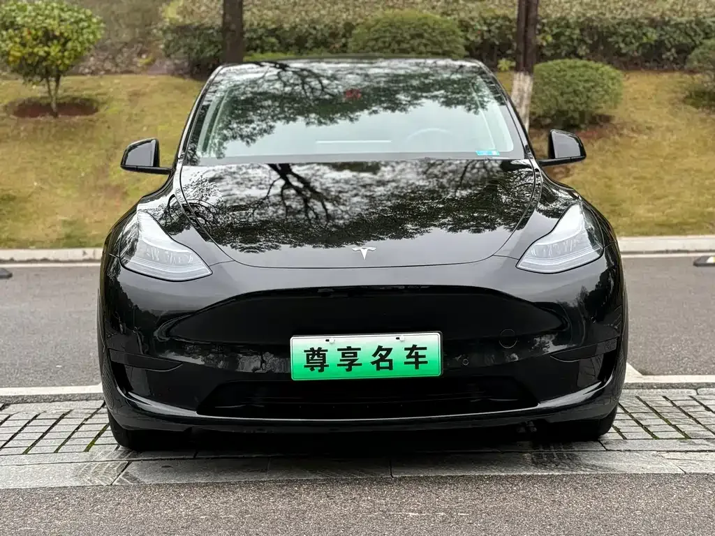 Tesla Model Y — фото 8