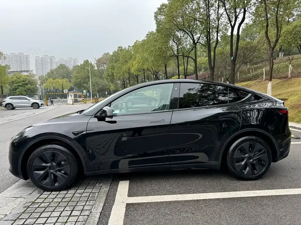 Tesla Model Y — фото 10